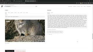 🔎🎞️ MiniGPT4-Video: Advancing Multimodal LLMs for Video Understanding 🔥 Jupyter Notebook 🥳