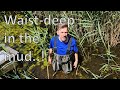 Renovating an abandoned Tiny House #58: Waist-deep in the mud..!