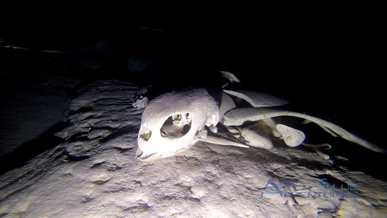 Turtle Cave 2015 - YouTube