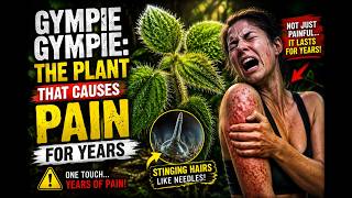 The World s Most Painful Plant The Terrifying Truth About the Suicide Plant