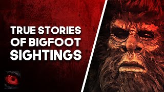 THE LOUDEST SCREAM IVE EVER HEARD - 3 TRUE BIGFOOT SIGHTING STORIES - What Lurks Beneath