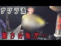 【貴重映像】日生のサワラ漁に同行したら凄すぎた【漁師】