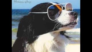 Silver Rocket - Eyes without face