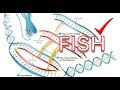 FISH PART 1
