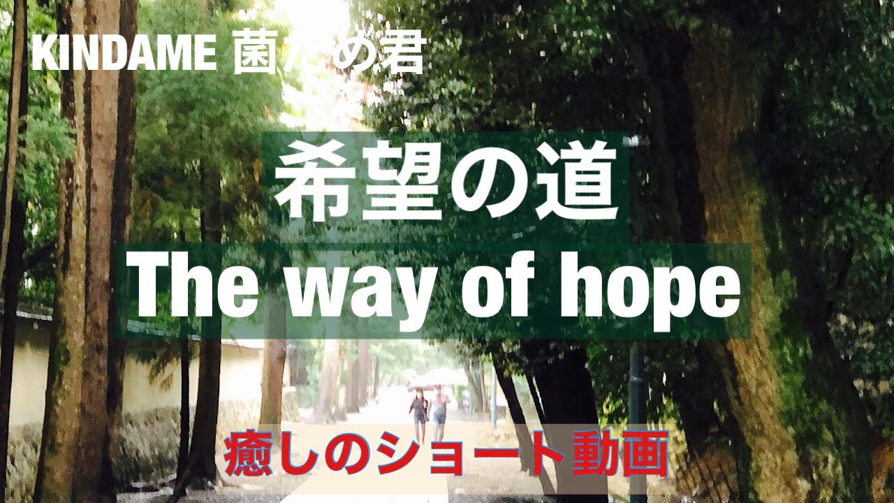 Kindame 希望の道 The Way Of Hope Youtube Kindame 希望の道 The Way Of Hope Youtube