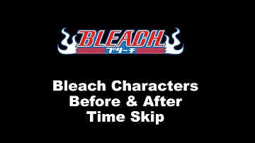 Is there a Timeskip in Bleach anime?