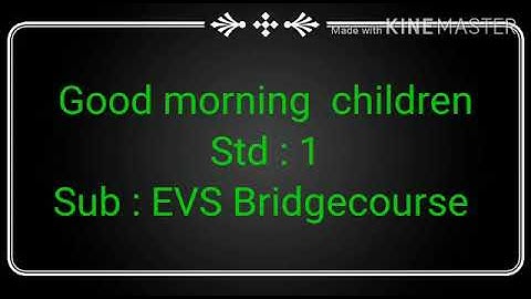 Std1 EVS bridge course -Water