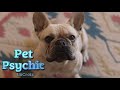 Pet Psychic: Ep 6 LaCroix