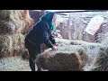 Заплыла жиром, пора записаться на фитнес.