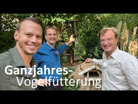 Video: Welche Art von Vogelfutter bevorzugen Kardinäle?