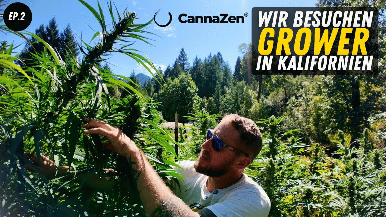 Die schönsten Outdoor Pflanzen Kaliforniens in Humboldt County - Emerald Triangle
