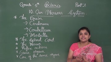 CBSE 5  - SCIENCE - OUR NERVOUS SYSTEM - PART 1