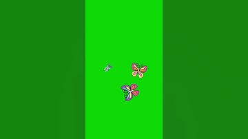 Colorful butterfly animation green screen | stock footage overlay HD #animation #butterfly #vfx