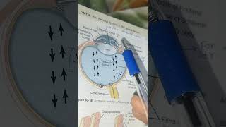 Intraocular fluid - Fluid system of eye Guyton chapter 50 #neurophysiology #doctor #viral Profile