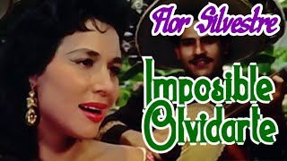 Imposible olvidarte (video musical de Flor Silvestre) HD chords