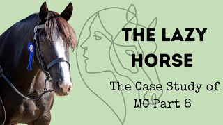 Case Study - The Lazy Horse Part 8