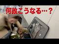 食材だけで50Kg!? 妻が空港で詰みました。
