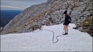 Seeing snow for the first time !!!! ❄️ ❄️ by Husky Obsessed 2,137 views 5 months ago 13 seconds