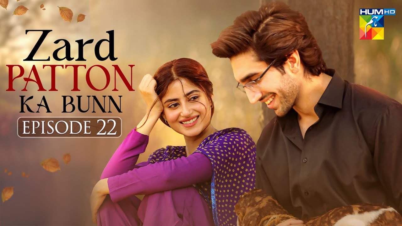 Zard Patton Ka Bunn - Episode 22 - [ Sajal Ali, Hamza Sohail ] - Ishq Diaries