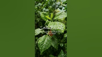 سورة : يوسف - Yūsuf  - الجزء : ( 13 )  -  الصفحة: ( 245 ) #قرآن #قرآن_كريم #قران_كريم