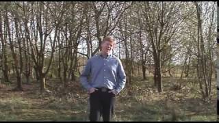 Chris Buckley – It’s Alright With Me screenshot 4