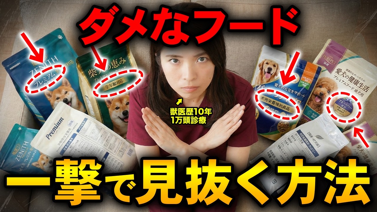 【知らないと危険】ダメなドッグフードを一撃で見抜く方法