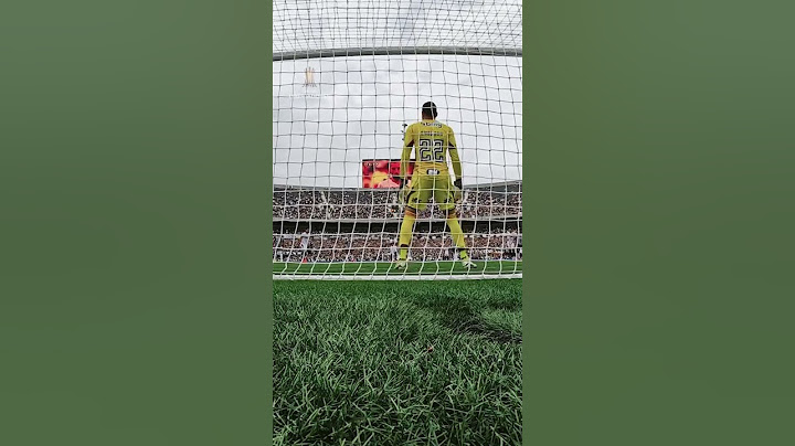 ⚽ PENALIDADE DE ALEX TELLEZ |#LIBERTADORES #BOTAFOGO