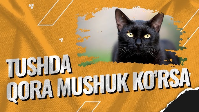 Sensatsiya 1975 porno film Faqat missionerlik pozitsiyasida