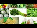 #wintervegetables| who to grow 22 winter vegetables. Kajol style.kajol kitchen gardaning and cooking
