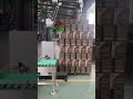 Automatic Palletizer for Food Production Lines | High-Speed Stacking Solutions #packagingmachine
