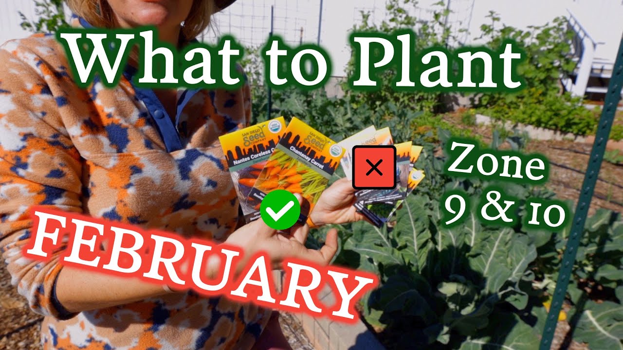 What to Plant in February for Zone 9 & 10 Gardeners YouTube