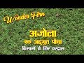 Azolla  -The Wonder Fern | अजोला एक अद्‍भुत पौधा | Dairy Pashu Prabhandan