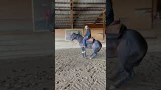 Reining Horse Doing A Sliding Stop