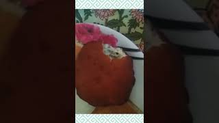 What I Ate In A Day Episode 7