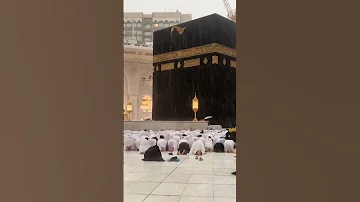 القران الكريم راحة نفسية بدر التركي ومن أراد الآخرة وسعى لها سعيها وهو مؤمن فأولئك كان سعيهم مشكورا 