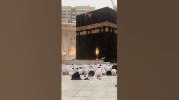 القران الكريم راحة نفسية بدر التركي(ومن أراد الآخرة وسعى لها سعيها وهو مؤمن فأولئك كان سعيهم مشكورا)