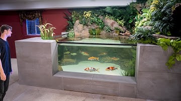 One Year Ago I Built an Ecosystem, This Happened