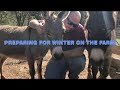 Winter farm Preperation!!! Cold weather is on the way and we still have a lot to do to get ready!