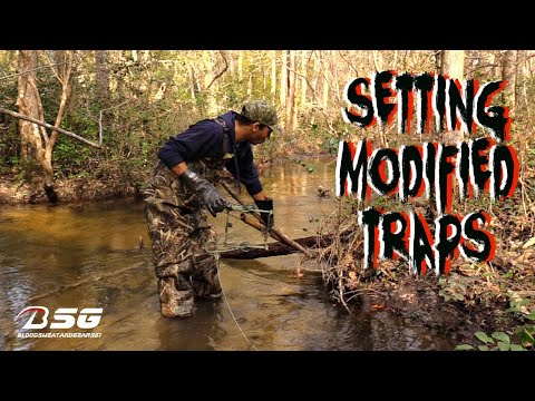 SETTING MODIFIED TRAPS!!! - [EXPAND-A-PAN + BULLS EYE TRIGGER] - (Belisle Conibear) #trapping #vlog
