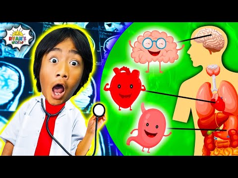 Learn about Human