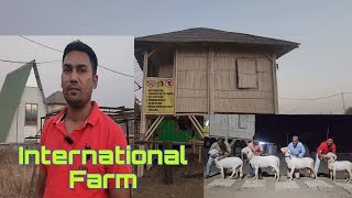 Imran Bhai Ka London Concept Farm | Home Breeding Setup | Nizam Bhai Ke Saath In Mahpoli Bhiwandi.