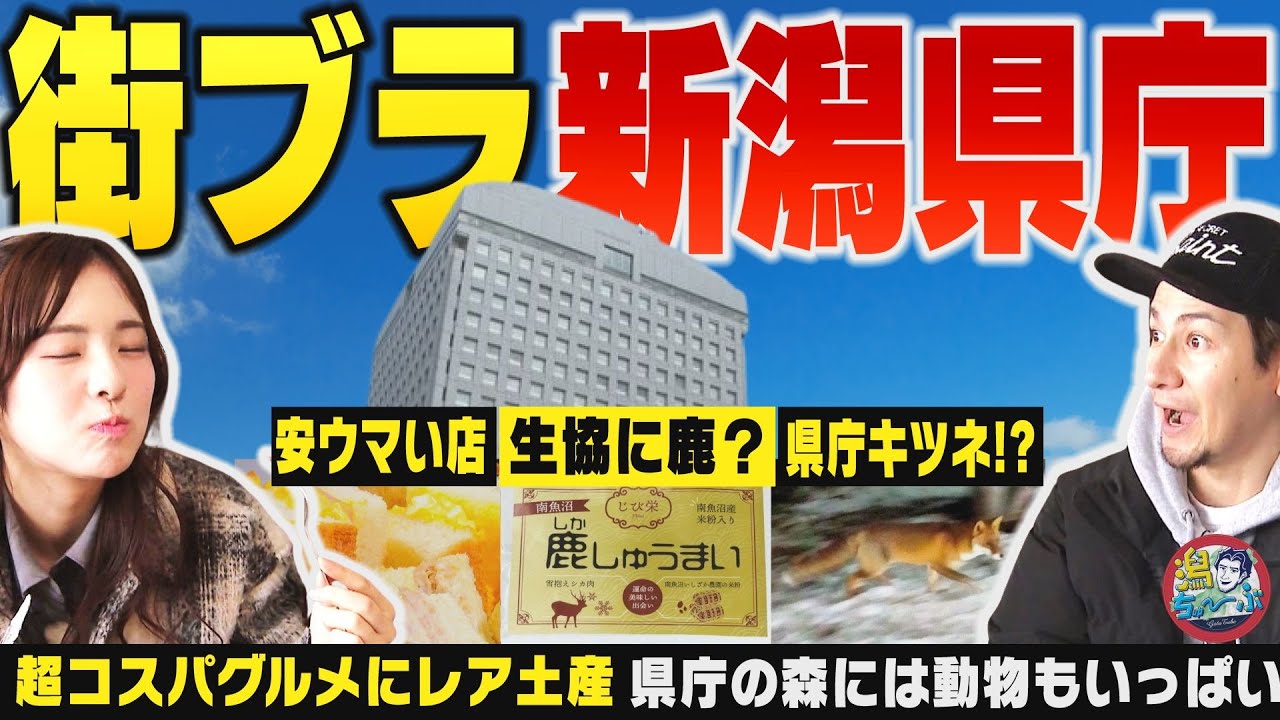 【新潟の役所】新潟県庁で街ブラ！？ 県民でもなかなか入る機会がない新潟県の行政の中枢はで安ウマグルメにレアお土産がいっぱい ▽ 杉本萌はふるさと信州安曇野の観光大使になりたい【潟ちゅーぶ】