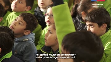 Cápsula 27 - Preguntas de compresión oral