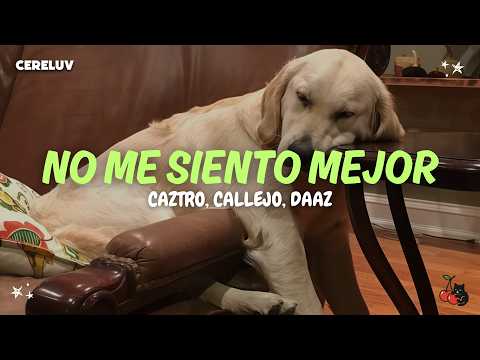 Caztro, Callejo, Daaz - I Don't Feel Better (Lyrics)