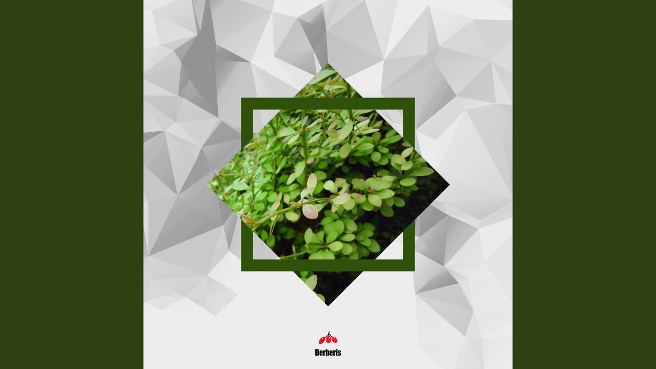 Minimal Behaviour (Original Mix) adlı videoyu YouTube'da izle Minimal Behaviour (Original Mix) adlı videoyu YouTube'da izle