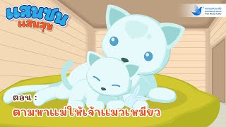 แสนซน แสนสุข ตอน : ตามหาแม่ให้เจ้าแมวเหมียว