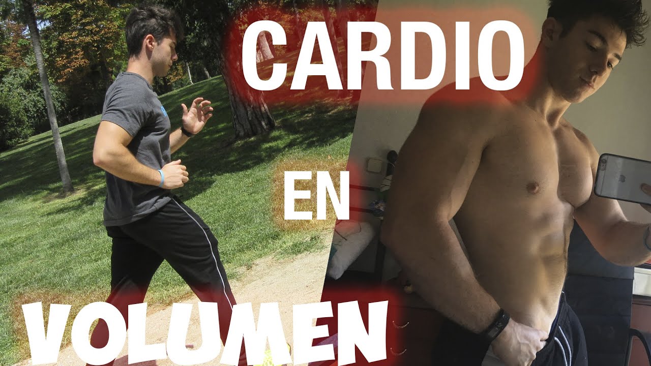 muscular endurance Cardio en volumen estiramientos dinámicos pierna entrenamiento