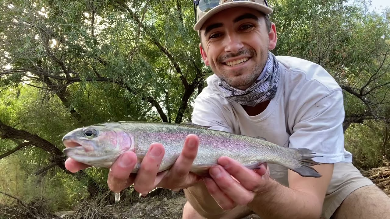 Catching Rainbow Trout in the Desert | FLY FISHING SALT RIVER ARIZONA