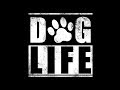 Dog Life - New Web Series Dog Life - New Web Series