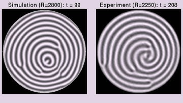 Simulation and Experiment Comparison